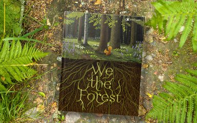 We The Forest book in a forest setting
