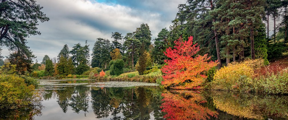 Autumn colours Marshals Lake Bedgebury