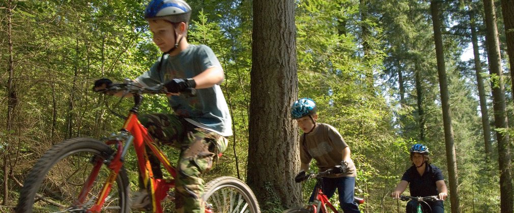 Kids riding on mountain bikes through the forest