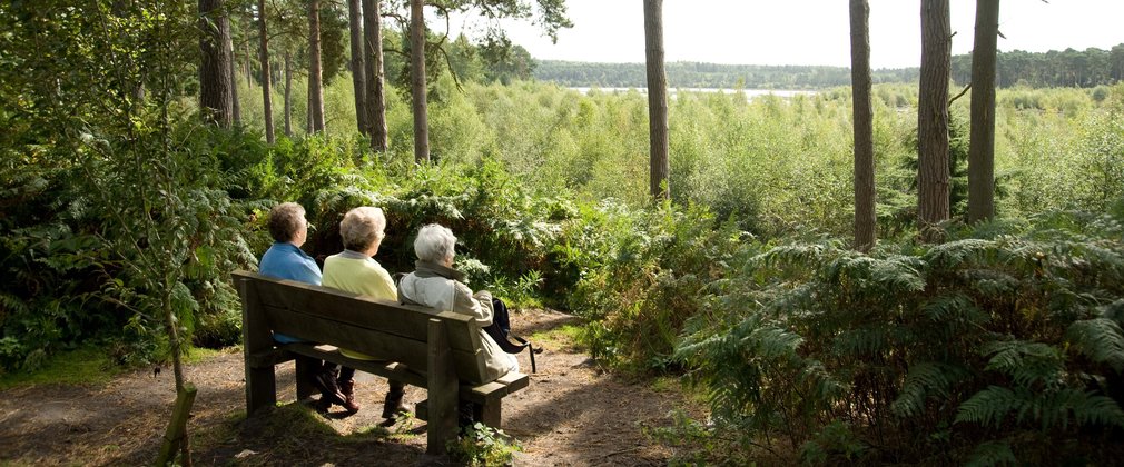 Three women sat on a bench enjoying the view in the woods