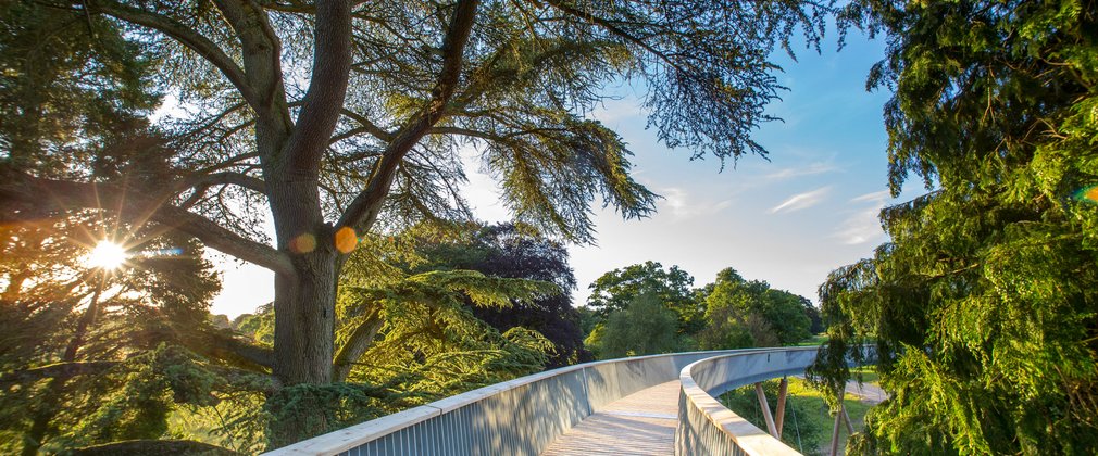 STIHL Treetop Walkway at Westonbirt Arboretum 