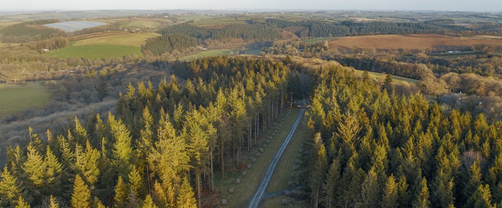 An aerial view of Flashdown Plantation at Eggesford Forest with Hilltown Wood in the background