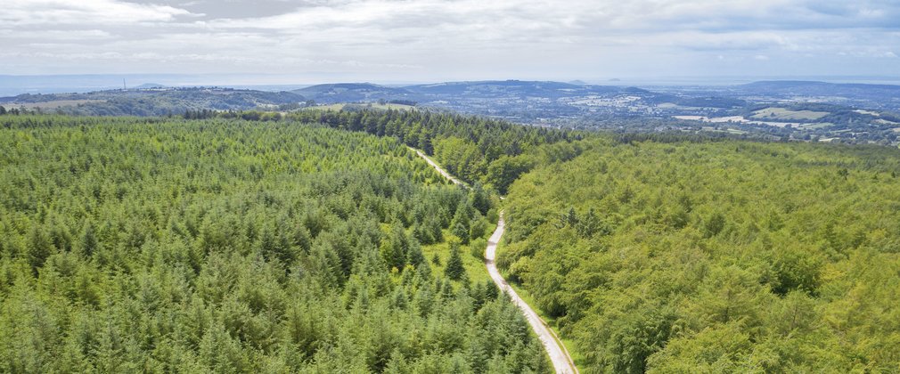 aerial view of forest with hills on the horizon