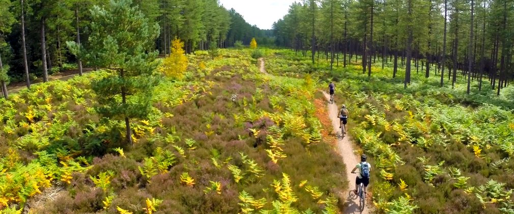Cycling trails at Moors Valley