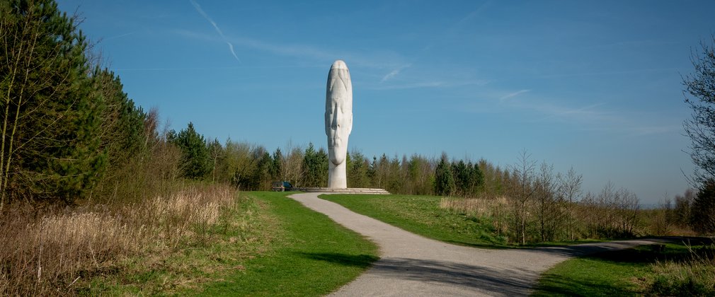 The Dream, art sculpture image at Sutton Manor forest 