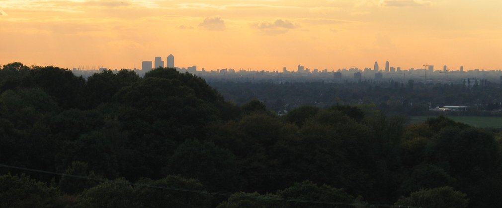 Orange sunset over distant London skyscrapers with dark trees in the foreground 