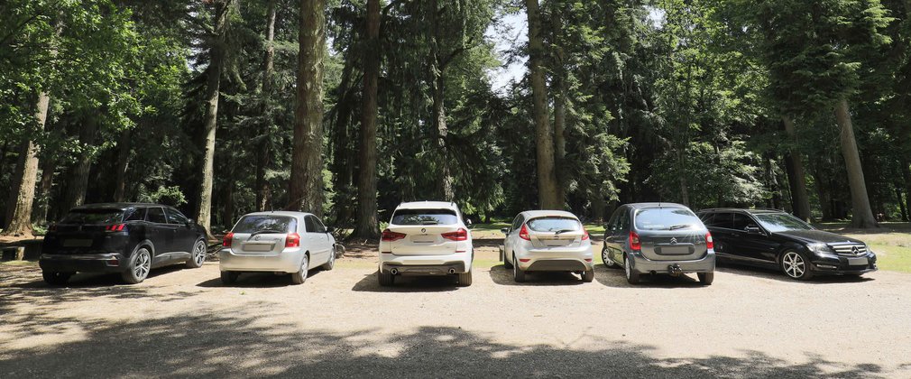 Cars parked under the trees in a forest car park