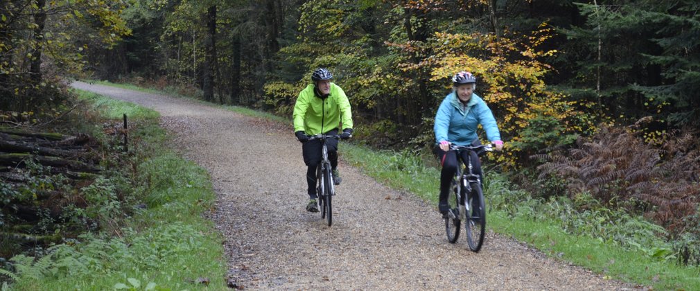 A couple cycling on a forest trail