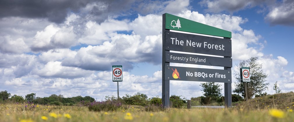 A sign for The New Forest including no BBQs or fires