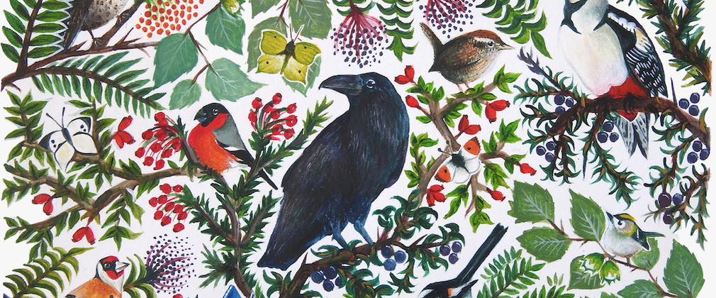 Life in the hedgerow illustration - Tiffany Francis