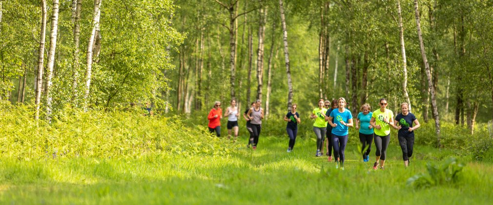 Bedgebury National Pinetum and Forest Runners group spring