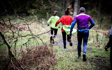 Whats it really like to run in the forest?