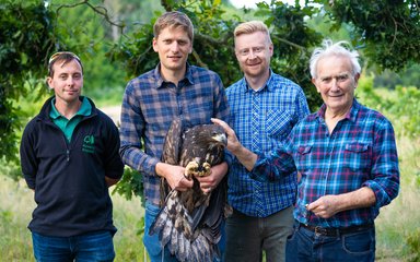 White-tailed eagle project team photo while holding a juvenile bird ready for release