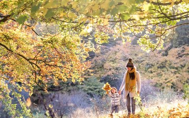 Adult and child walking in forest