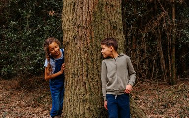 Two children looking at each other round a tree 