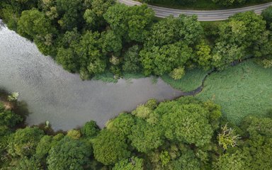 Aerial view of pond next to a road