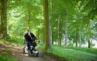 Easy access paths through the wood with man on tramper