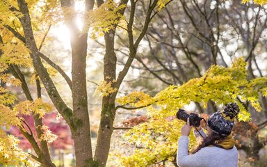 Woman with camera taking photo in autumn 