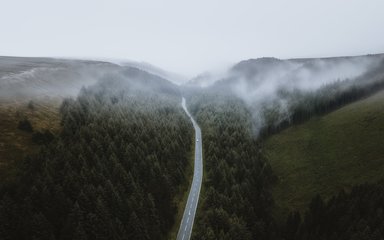 A road passing through Snake Woodlands on a misty day