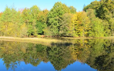 Dymock lake in autumn
