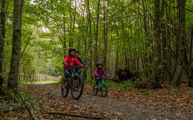 Family cycling through the dense wood