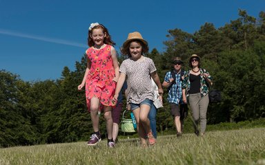 Family walking with picnic in sunny field 