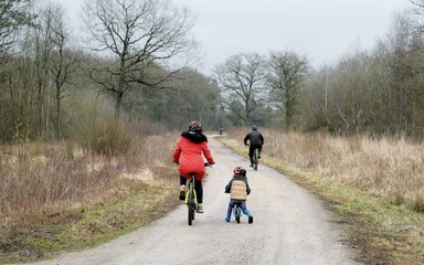 Family on bike ride on forest path