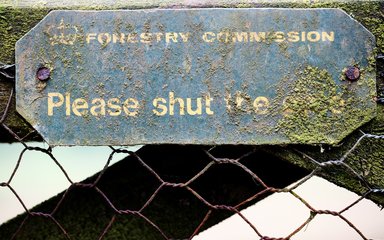 Mossy Forestry Commission sign through metal fencing
