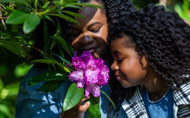 A mother and young daughter lean in to smell a bright purple rhododendron flower