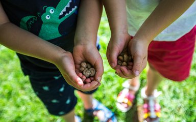 Children holding acorns