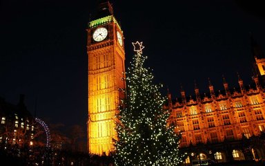 Westminster Christmas Tree