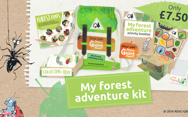 James & The Giant Peach forest adventure kit