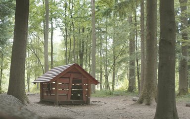 Wooden hut in Salcey forest clearing