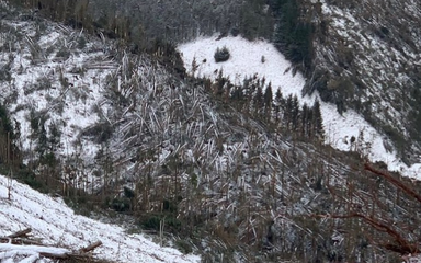 Storm Arwen damage to snowy Kidland Forest