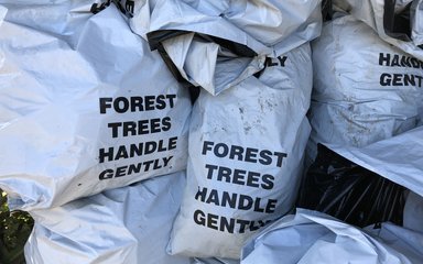 Bags of tree saplings