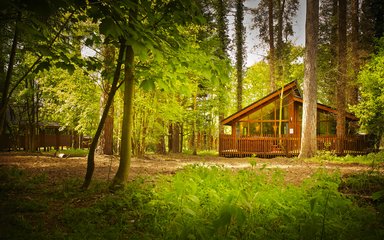 Forest Holidays cabins at Thorpe Forest 