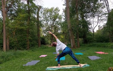 Yoga at Salcey Forest