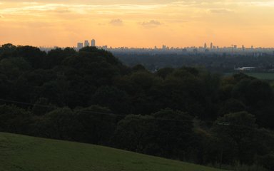 Orange sunset over distant London skyscrapers with dark trees in the foreground 