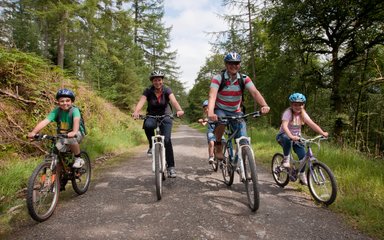 A family of four cycling on forest trail