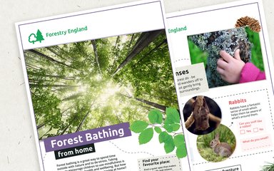Forest bathing at home activity sheets