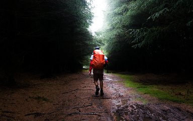 Man walking away down a forest path