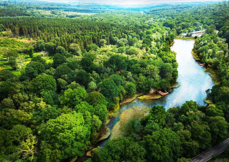 Lower Cannop from above. Lower Cannop will continue to be a large lake in the heart of the Forest of Dean