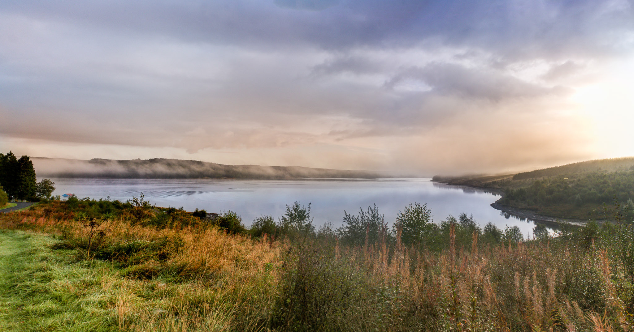 www.forestryengland.uk