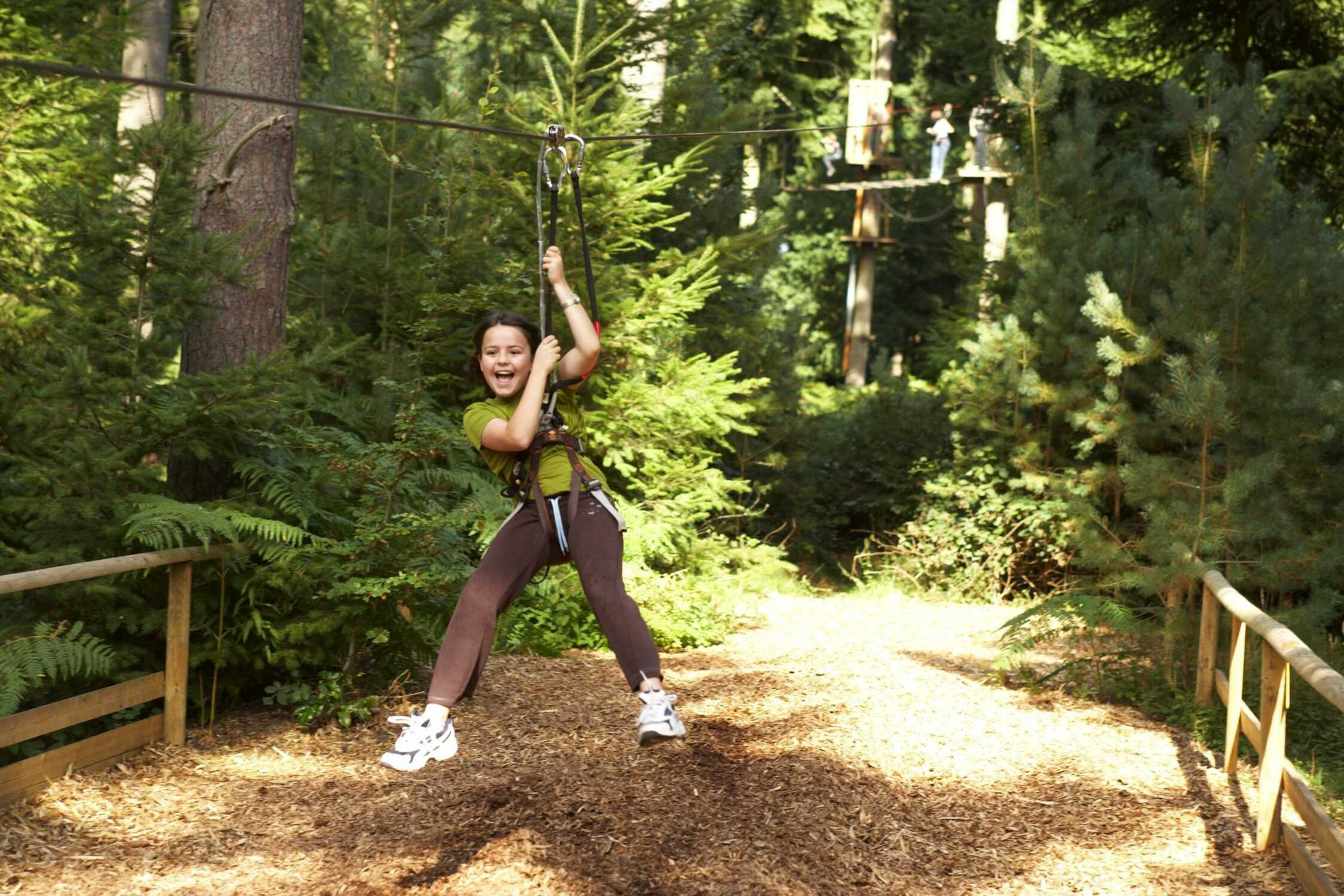 Go Ape верёвочный парк. Зиплайн новый Форест. Тарзанка в лесу. Rope Park from Forest.