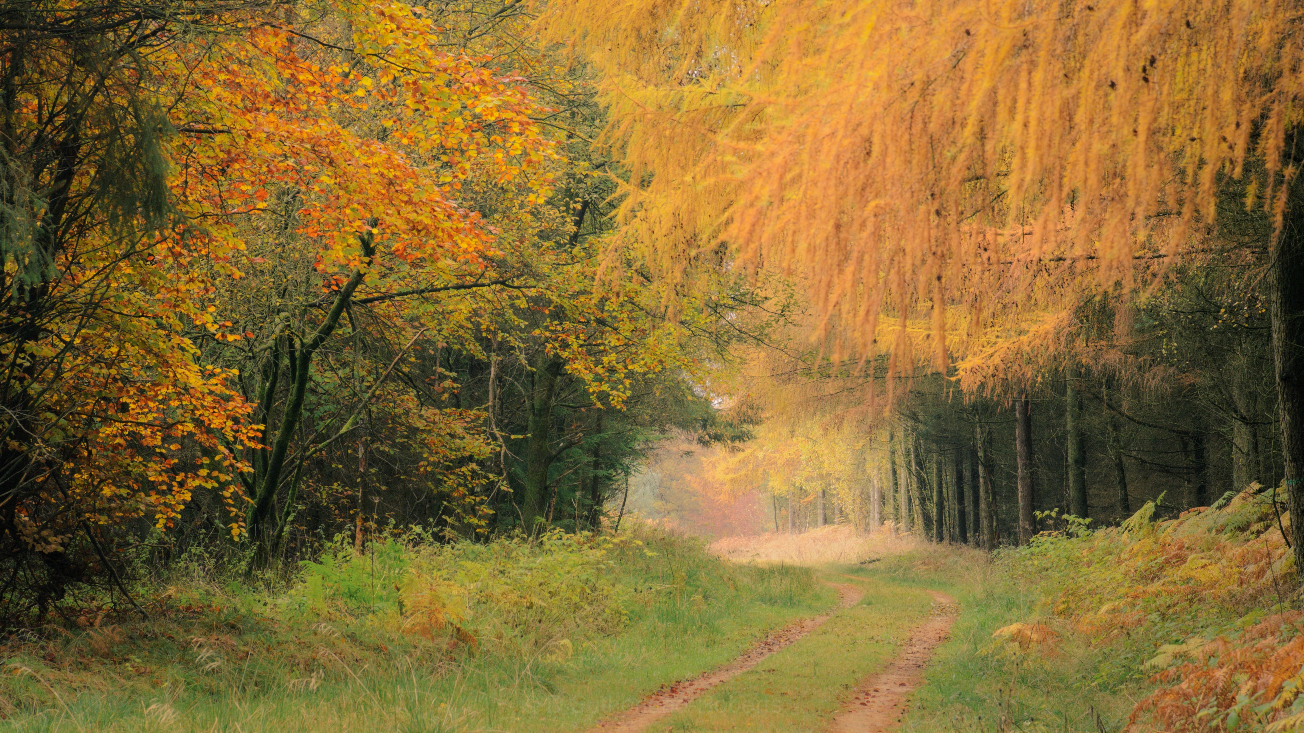 Dalby Forest Forestry England Dalby Forest Forestry England