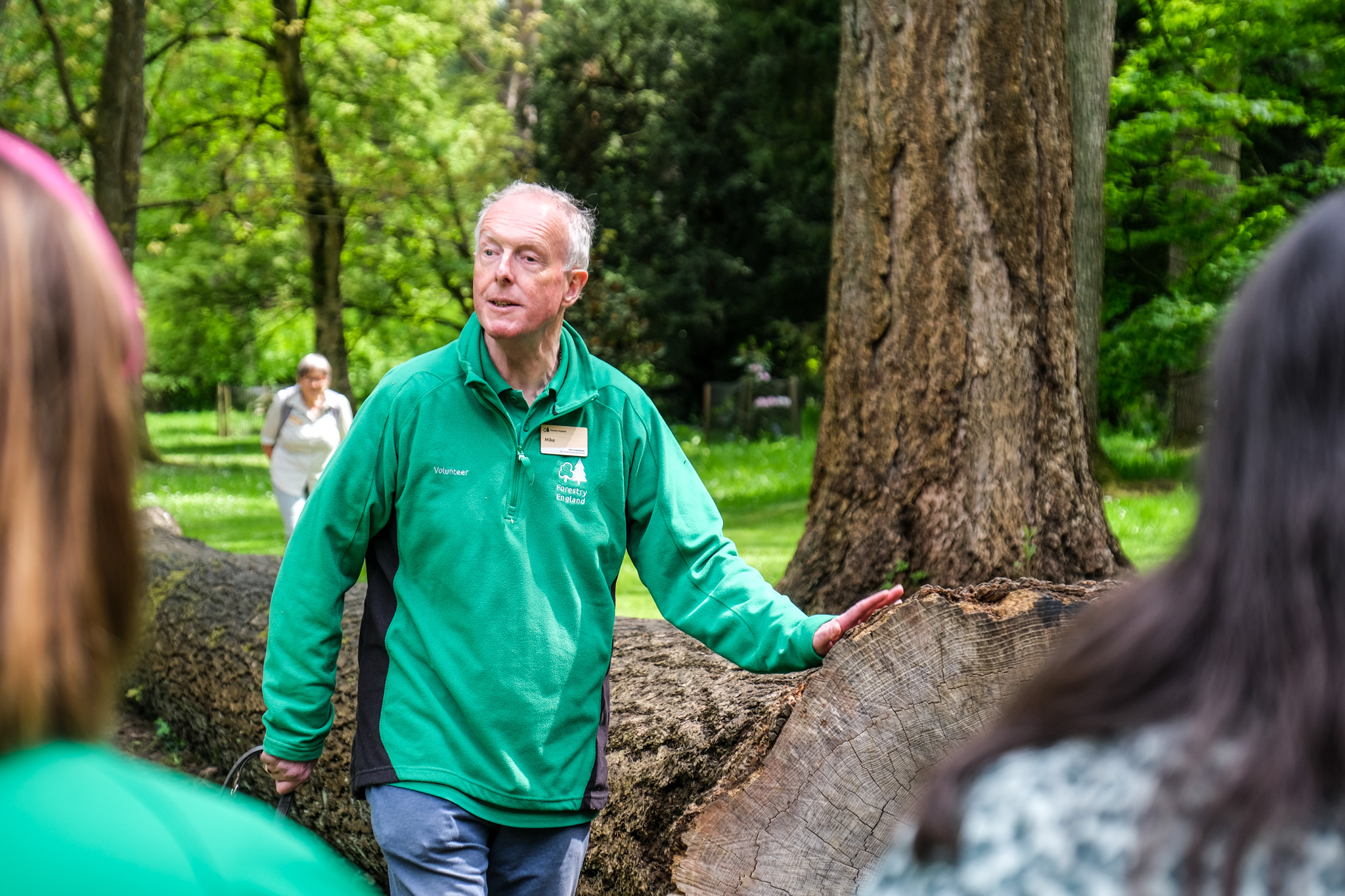 Sensing Nature Guided Walks | Forestry England