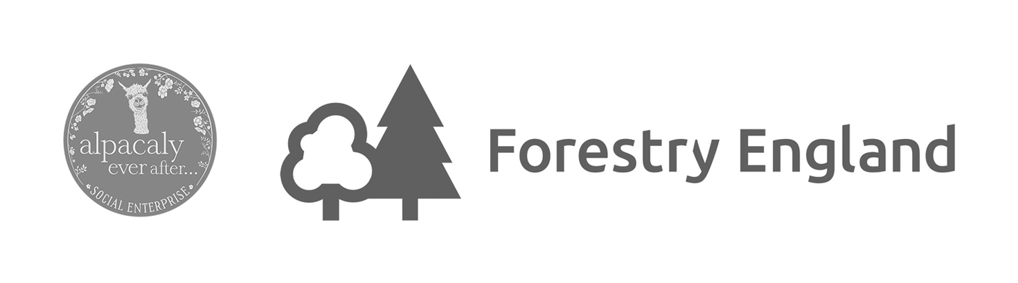 Alpacaly ever after logo lock up  Alpacaly ever after logo lock up