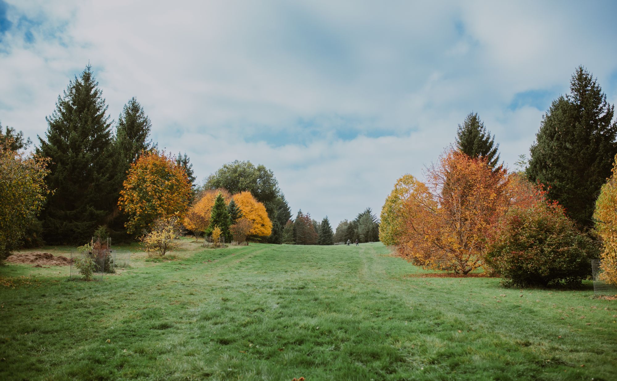 National Garden Scheme Opening at Bedgebury Pinetum, from Bedgebury National Pinetum and Forest