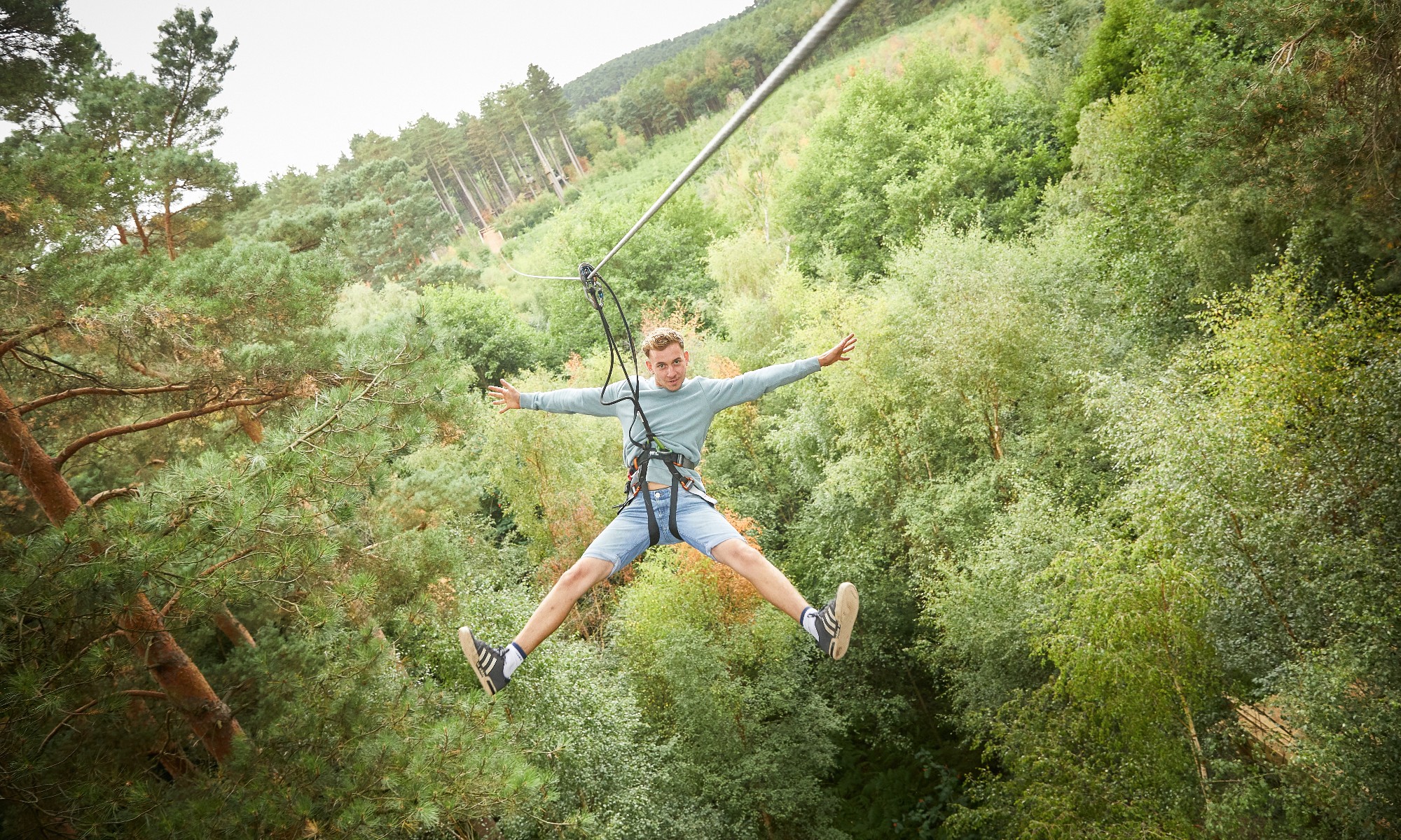 Go Ape Tree Top Challenge At Cannock Chase Forestry England Go Ape Tree Top Challenge At Cannock Chase Forestry England