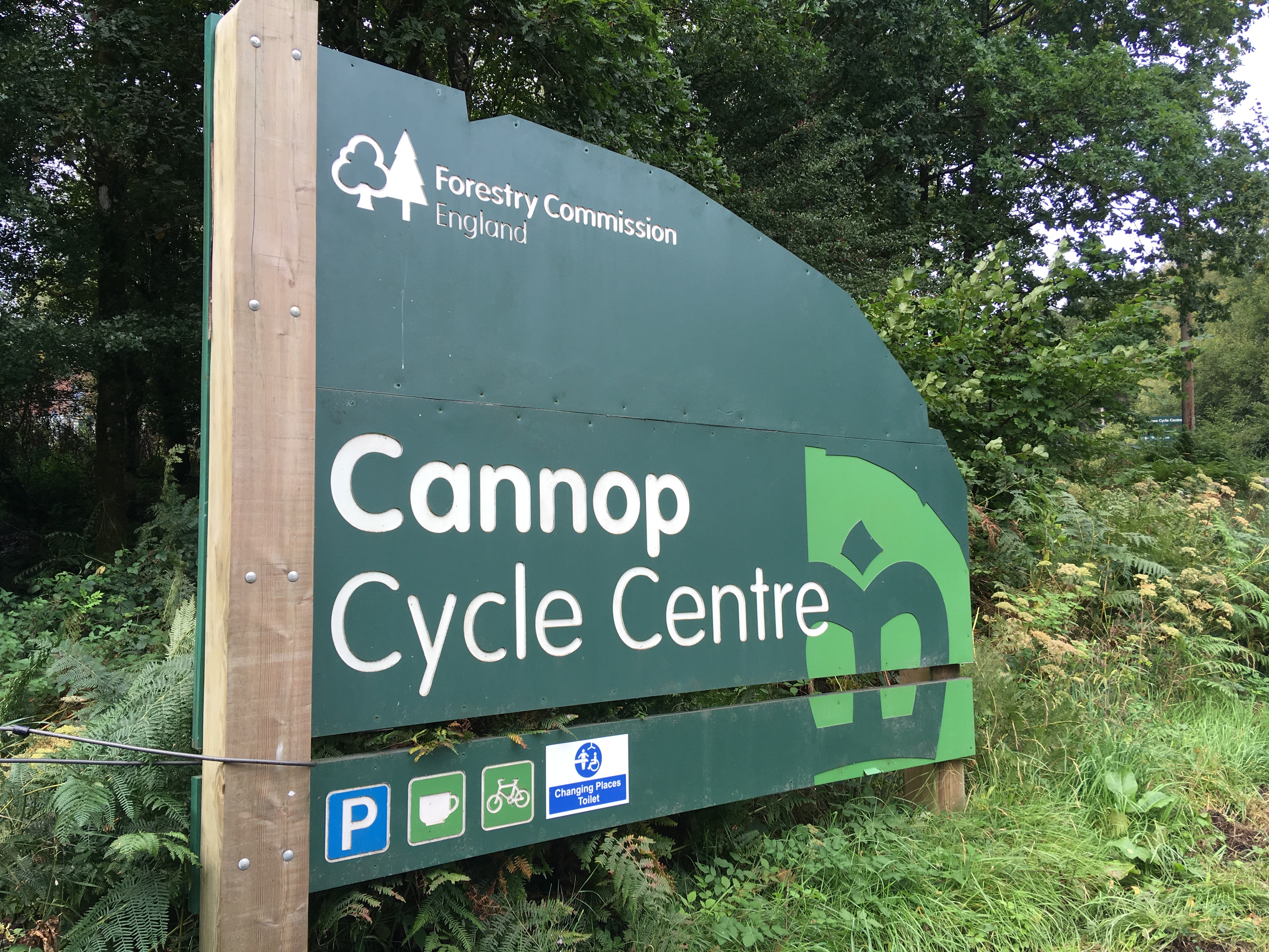 forest of dean bike park